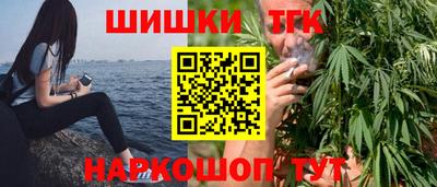 дмт Аргун