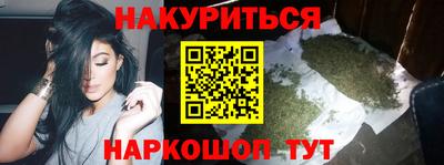 дмт Аргун