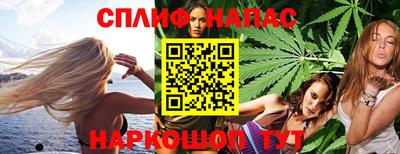 дмт Аргун