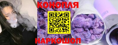 дмт Аргун