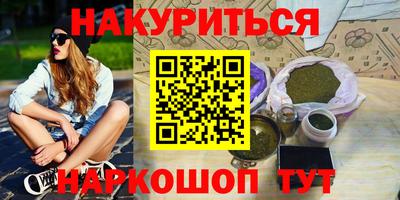 дмт Аргун