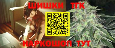 дмт Аргун